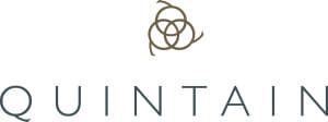 Quintain Logo bronze